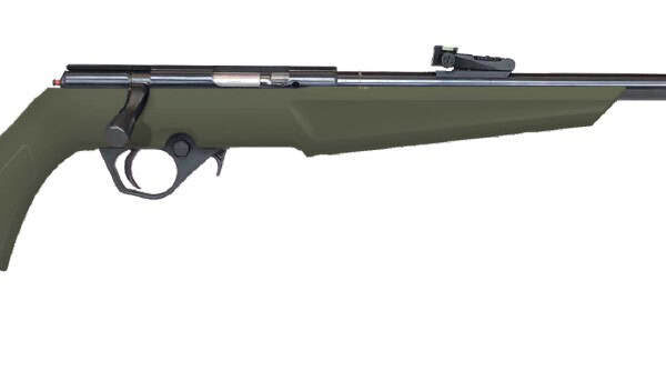 BRAZ RB 22LR CMPCT 16" ODG 10R