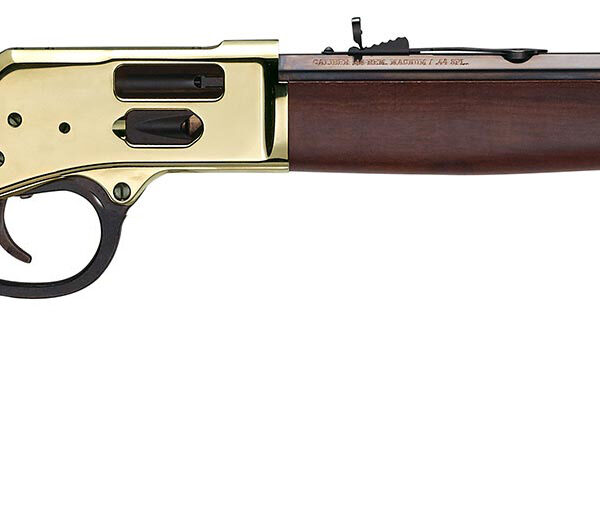 Henry Big Boy Brass Side Gate 45 Colt Large Loop 20" Barrel H006GCL