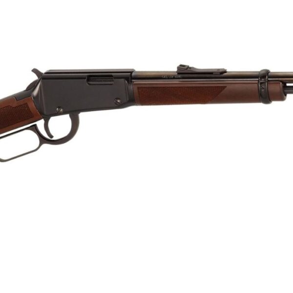 Henry Repeating Arms 17 HMR Varmint Express Lever Action H001V