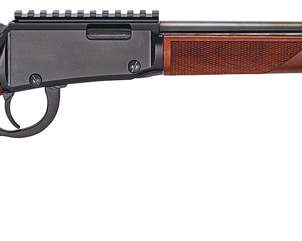 Henry Repeating Arms 22 Mag Magnum Express 19" Barrel H001ME