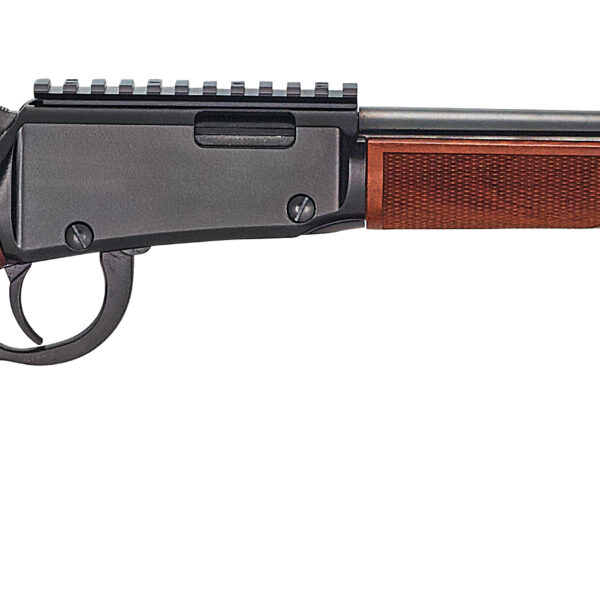 Henry Repeating Arms 22 Mag Magnum Express 19" Barrel H001ME
