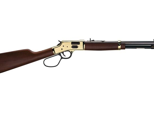 Henry Repeating Big Boy Side Gate Large Loop 44 Mag 20" Barrel H006GL
