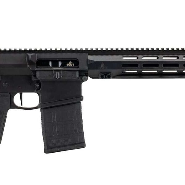 IWI Zion-25 DMR 7.62 NATO 308 AR-10 18" Barrel AR10 Zion 25 B5 ARCA Z25DMR18308