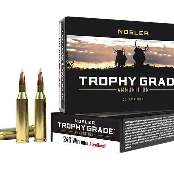 NOSLER 48263 TROPHY GRADE 243 WIN 90 GRAIN ACCUBOND 20 RNDS