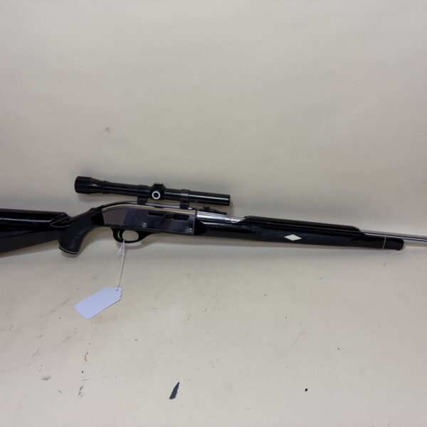 Remington Nylon 66 Apache Black .22 LR Chrome & Black Rimfire Rifle with Scope