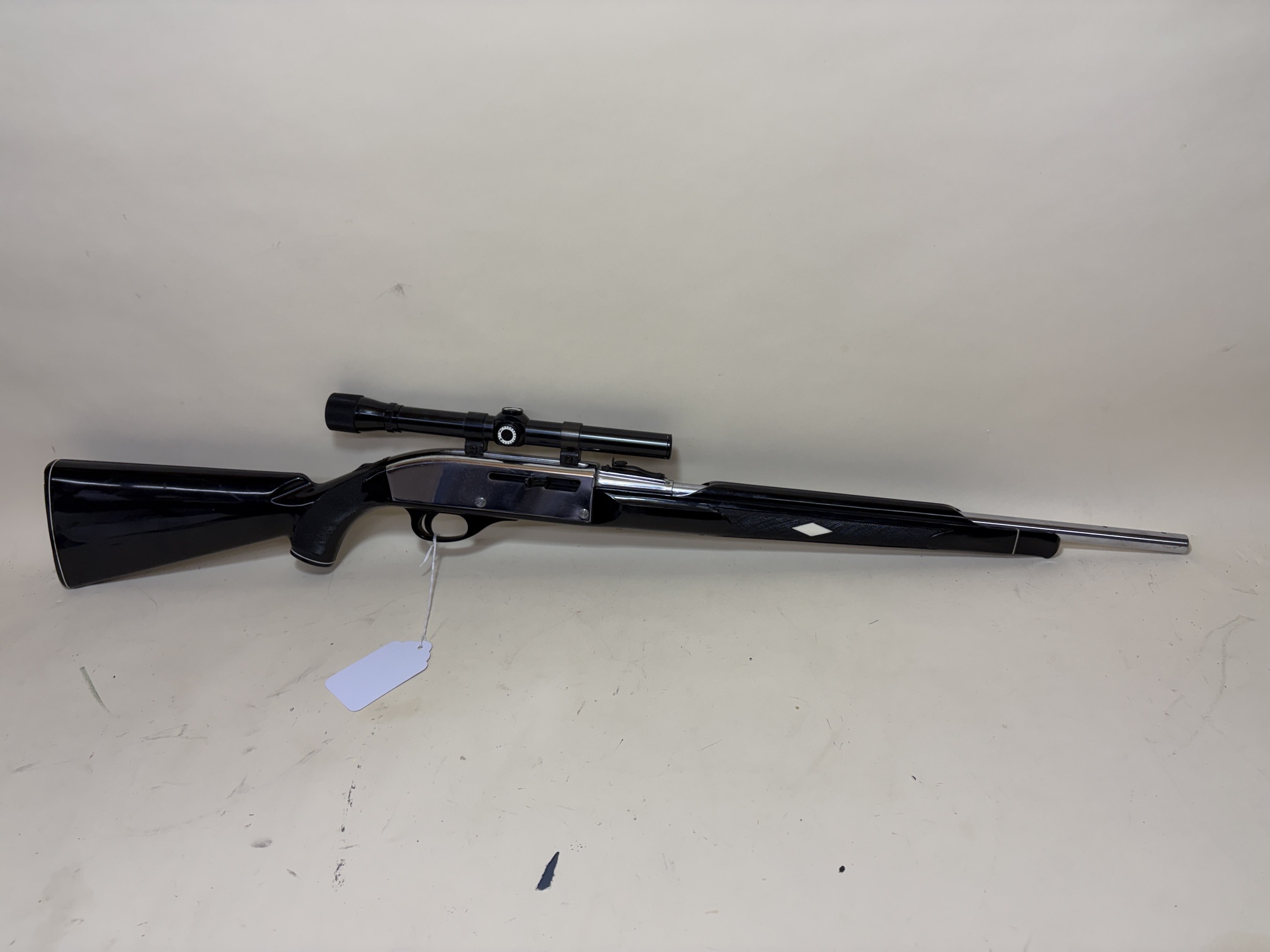 Remington Nylon 66 Apache Black .22 LR Chrome & Black Rimfire Rifle with Scope