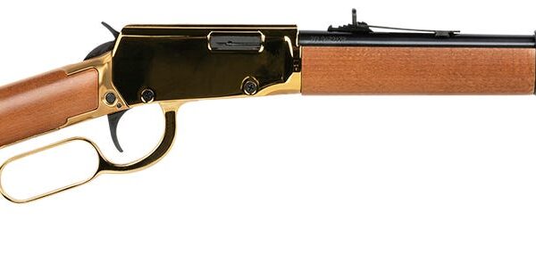 Rossi Rio Bravo 22 LR Gold 18" Barrel RL22181WD-GLD1