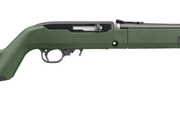 Ruger 10/22 Takedown Backpacker 22 LR Sports South Exclusive 31101