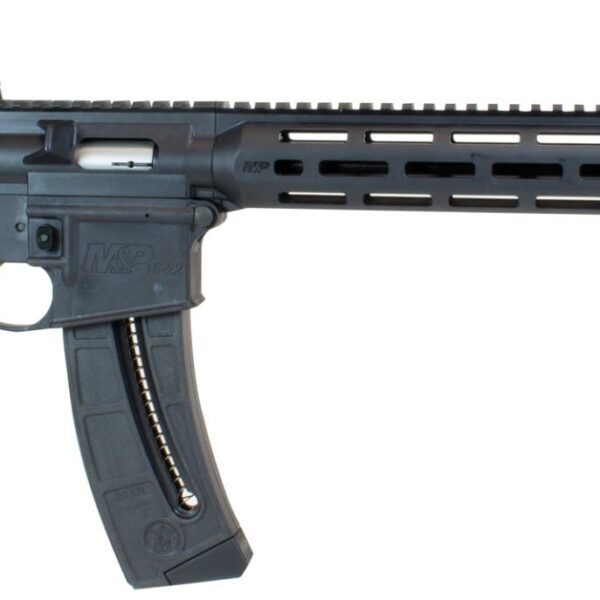 Smith & Wesson M&P 15-22 Sport MOE 22 LR Sniper Grey 11719